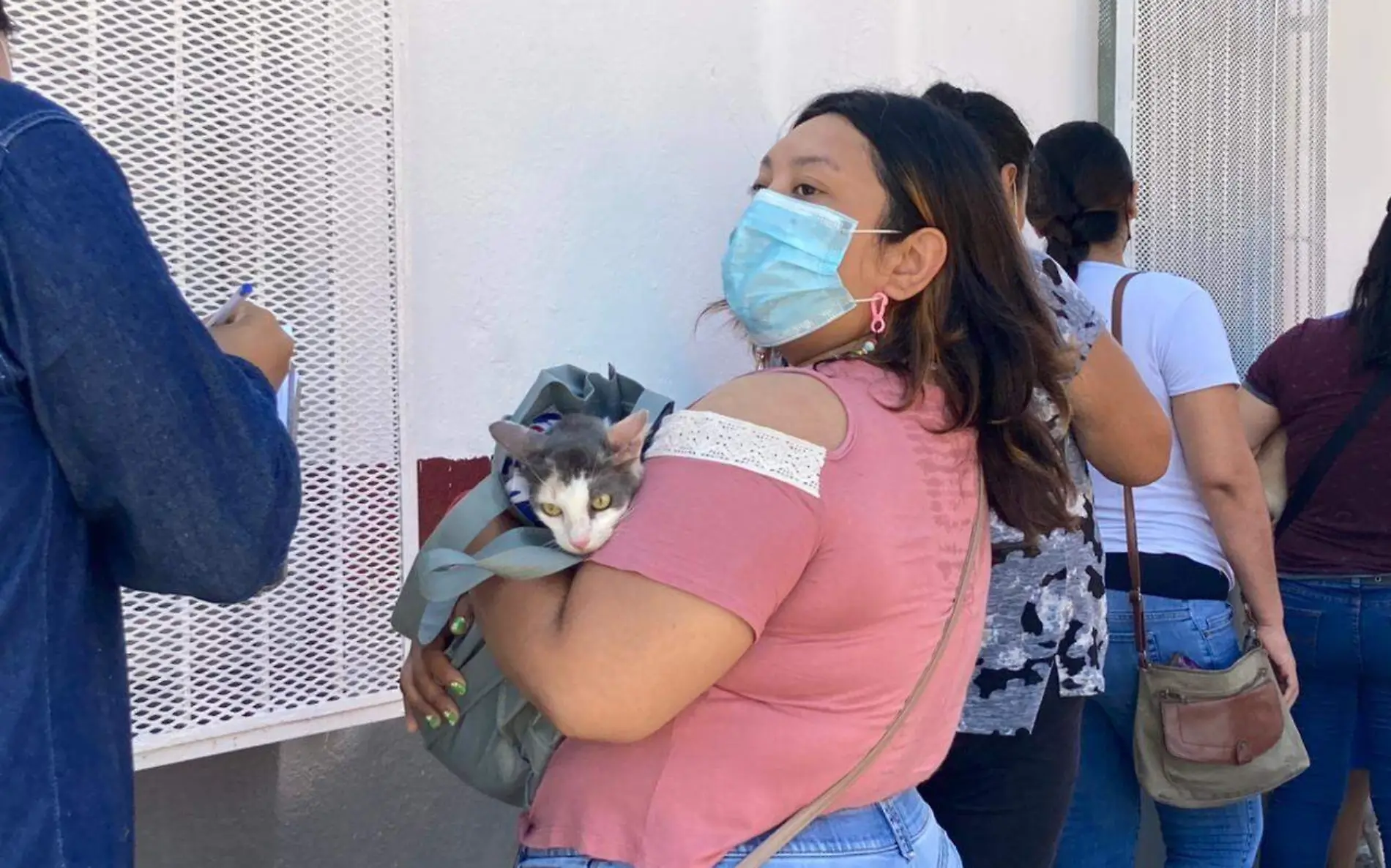 Inicia NLD campaña gratuita de esterilización para perros y gatos 